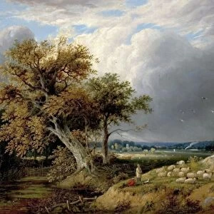Landscape with Trees and Sheep
