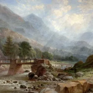 Landscapes Landscapes