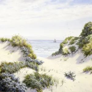 Sand Dunes on the Lincolnshire Coast