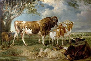 Cattle Prints: Bull, Cow and Calf in a Landscape