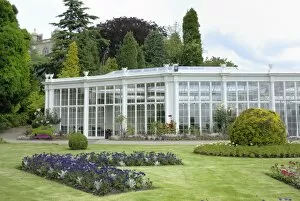 Images Dated 9th January 2012: The Camellia House, Wollaton Hall