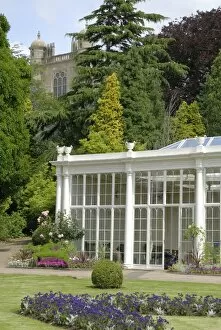 Images Dated 9th January 2012: The Camellia House, Wollaton Hall
