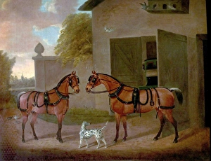 Carriages, Horses and Dogs