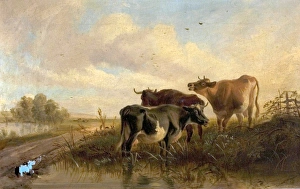 <b class=qtipBold><figcaption>Cattle in Landscape, Evening</figcaption></b><br>Artist: Cooper, Thomas Sidney - Title: Cattle in Landscape, Evening - Date: 1862 - Original Medium and Size: Oil on Canvas 25.4 x 40.6 Cattle in Landscape, Evening