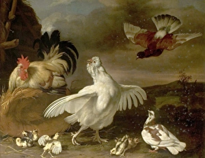 Cock and Hen with Chickens and Pigeons - Johannes Spruyt