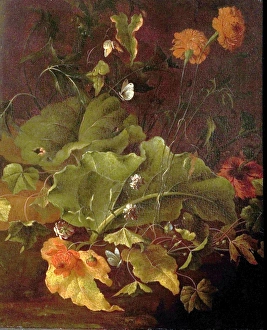Nature Prints: Dock Leaves and Other Flowers - James Sillett