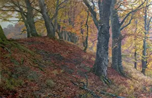 Wood Prints: At the Fall of Leaf, Arundel Park, Sussex (Woodland Scene in Autumn)