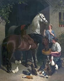 Images Dated 3rd December 2009: Feeding the Horses (Horses, Figures and Poultry)