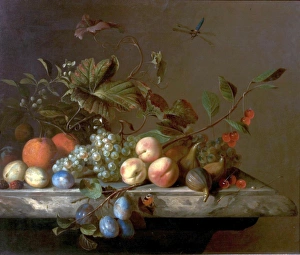 <b class=qtipBold><figcaption>Fruit Piece with Dragonfly</figcaption></b><br>Artist: Van der Meer, Barend - Title: Fruit Piece with Dragonfly - Date: 1692 - Original Medium and Size: Oil on Canvas 64.1 x 75.6 Fruit Piece with Dragonfly