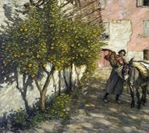 Images Dated 16th September 2010: Gathering Oranges - Henry Herbert La Thangue
