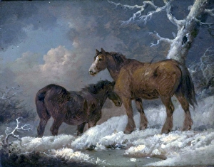 <b class=qtipBold><figcaption>Two Horses in the Snow</figcaption></b><br>Artist: Morland, George - Title: Two Horses in the Snow - Date: N/A - Original Medium and Size: Oil on Wood 17.8 x 23.5 Two Horses in the Snow