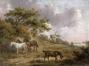 Field Prints: Landscape with Four Horses