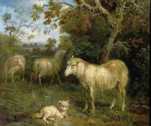 <b class=qtipBold><figcaption>Landscape with Sheep</figcaption></b><br>Artist: Ward, James - Title: Landscape with Sheep - Date: N/A - Original Medium and Size: Oil on Canvas 25.4 x 30.5 Landscape with Sheep