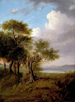 Landscape, Trees in the Foreground, Lake and Hills in the Distance Landscape, Trees in the Foreground, Lake and Hills in the Distance