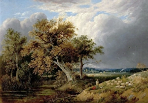 Farming Prints: Landscape with Trees and Sheep