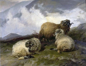<b class=qtipBold><figcaption>Landscapes</figcaption></b><br>Nottingham Prints Fine Art: Landscapes Landscapes