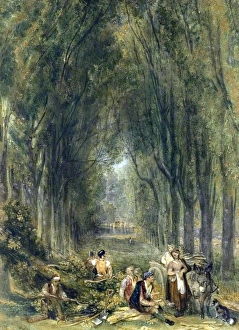 Green Prints: The Lime Walk at Weston, Buckinghamshire