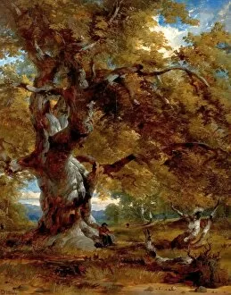 Local Artists And Places Collection: The Major Oak - Henry Dawson