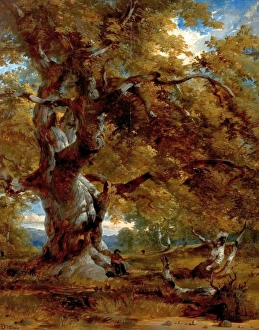 <b class=qtipBold><figcaption>The Major Oak - Henry Dawson</figcaption></b><br>Oil on Wood 76.2 x 62.9 The Major Oak - Henry Dawson