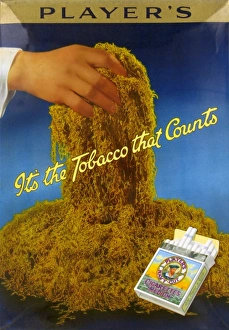 Navy Cut Medium Cigarettes, 1935=36