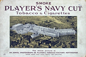 Navy Cut Tobacco and Cigarettes, 1923=24 Navy Cut Tobacco and Cigarettes, 1923=24