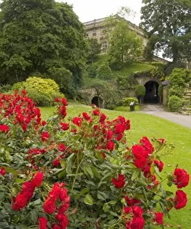 Photography Collection: Nottingham Castle grounds