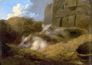 Two Pigs in Straw (Barn with Pigs) Two Pigs in Straw (Barn with Pigs)