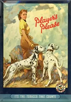 Images Dated 16th November 2011: Players Please: Dalmatians, 1950