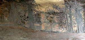 Water Prints: The Pond, Kempton, Middlesex