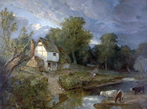 Ringland Hills, Costessy, Norwich