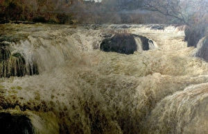Salmon Leap, Cenarth Falls, Cardiganshire, Wales