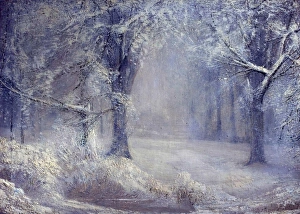 Winter Prints: Snow - Arthur Lowe