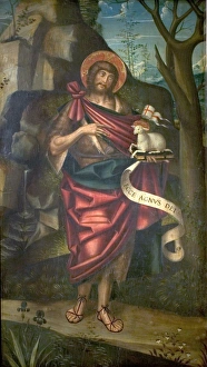 St John the Baptist in the Wilderness (recto) St John the Baptist in the Wilderness (recto)