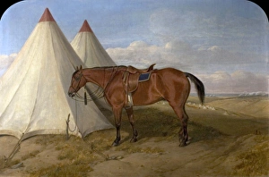 <b class=qtipBold><figcaption>The Toy</figcaption></b><br>Artist: Luker, William (attributed to) - Title: The Toy - Date: 1858 - Original Medium and Size: Oil on Canvas 49 x 75 The Toy