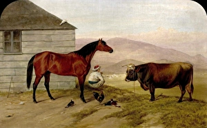 The Turkish Pony Bobby, the Cock from Sebastopol, the Cow from the Valley of Baidar and the Pigeon () The Turkish Pony Bobby, the Cock from Sebastopol, the Cow from the Valley of Baidar and the Pigeon ()