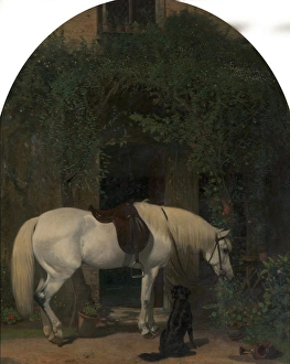 <b class=qtipBold><figcaption>White Horse and Retriever</figcaption></b><br>Artist: Corbould, Alfred - Title: White Horse and Retriever - Date: N/A - Original Medium and Size: Oil on Canvas 123 x 99 White Horse and Retriever