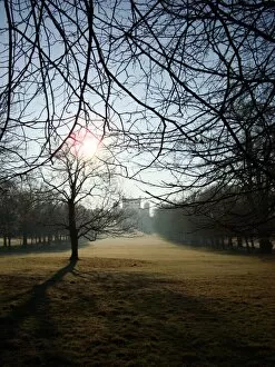 Nottingham Views Collection: Wollaton Hall, winter morning