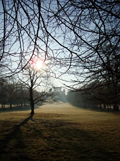 <b class=qtipBold><figcaption>Wollaton Hall, winter morning</figcaption></b><br>Photographic image from the Nottingham City Museums and Galleries archive. Wollaton Hall, winter morning